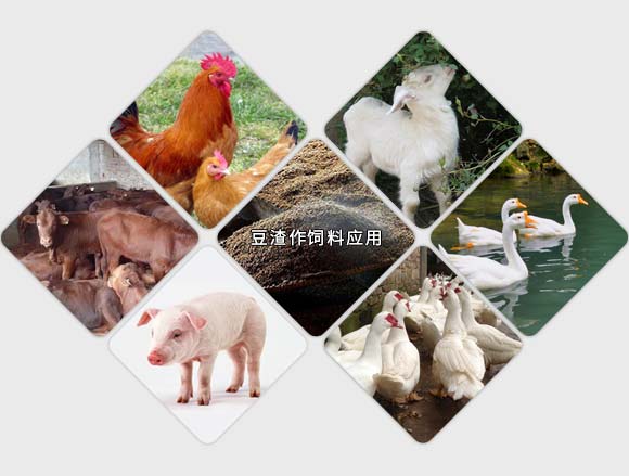 豆渣烘干機干燥用應(yīng)用